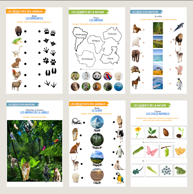Découvrons les animaux