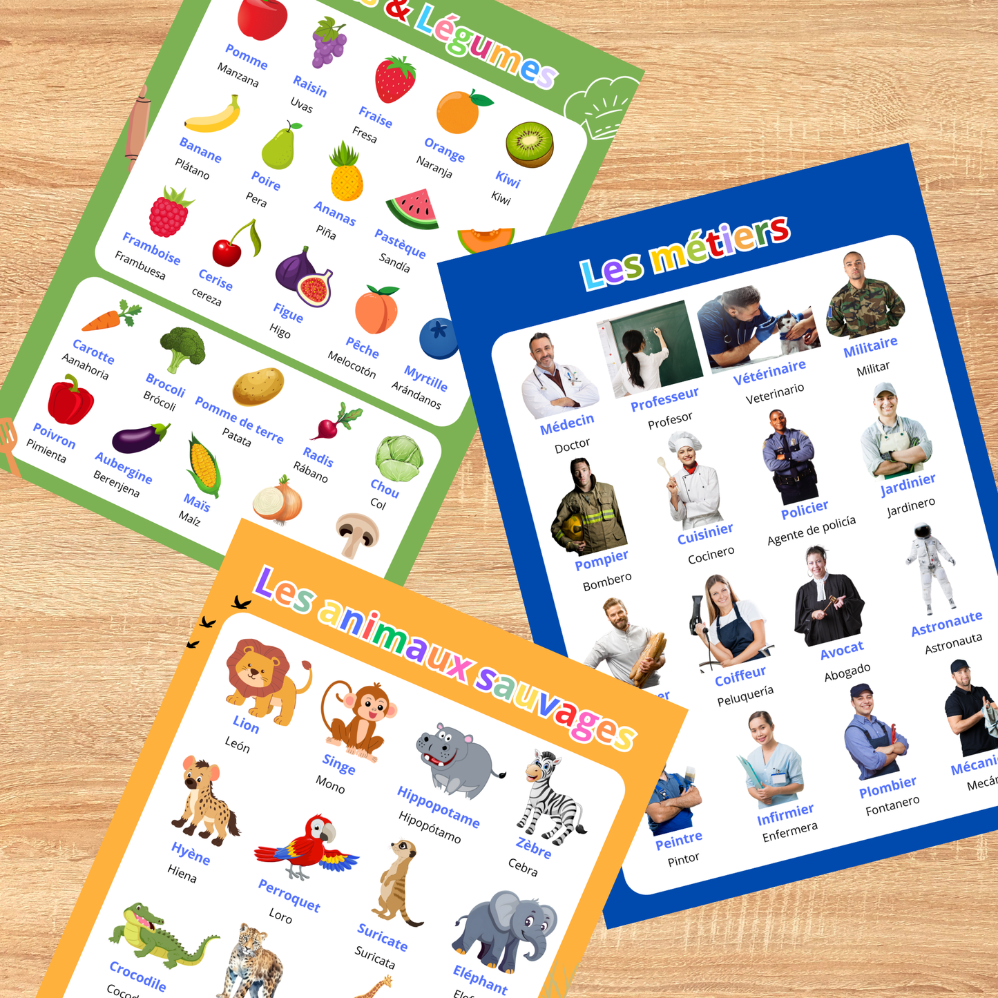 10 affiches bilingues Espagnol/Français