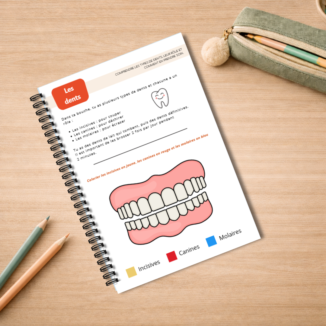 Mon carnet du corps humain