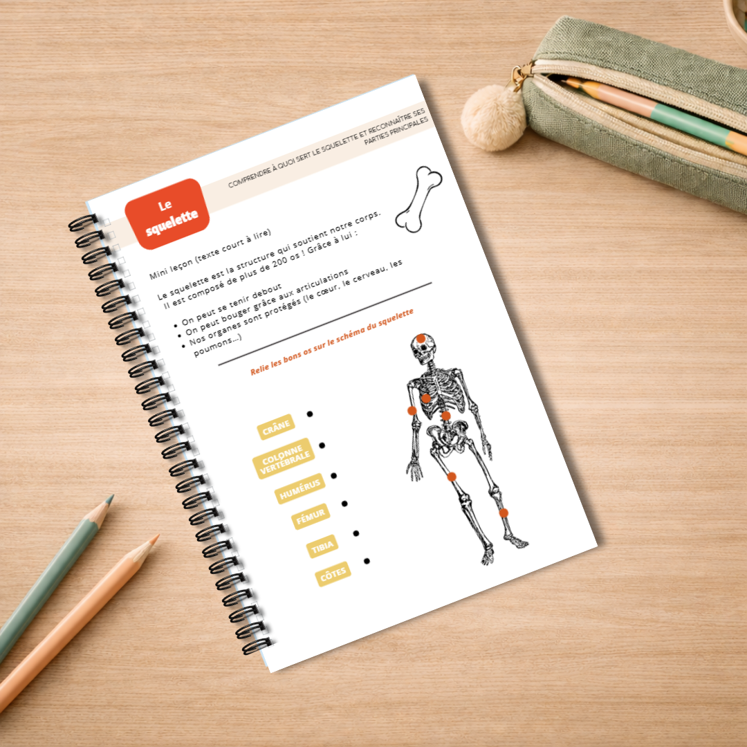 Mon carnet du corps humain