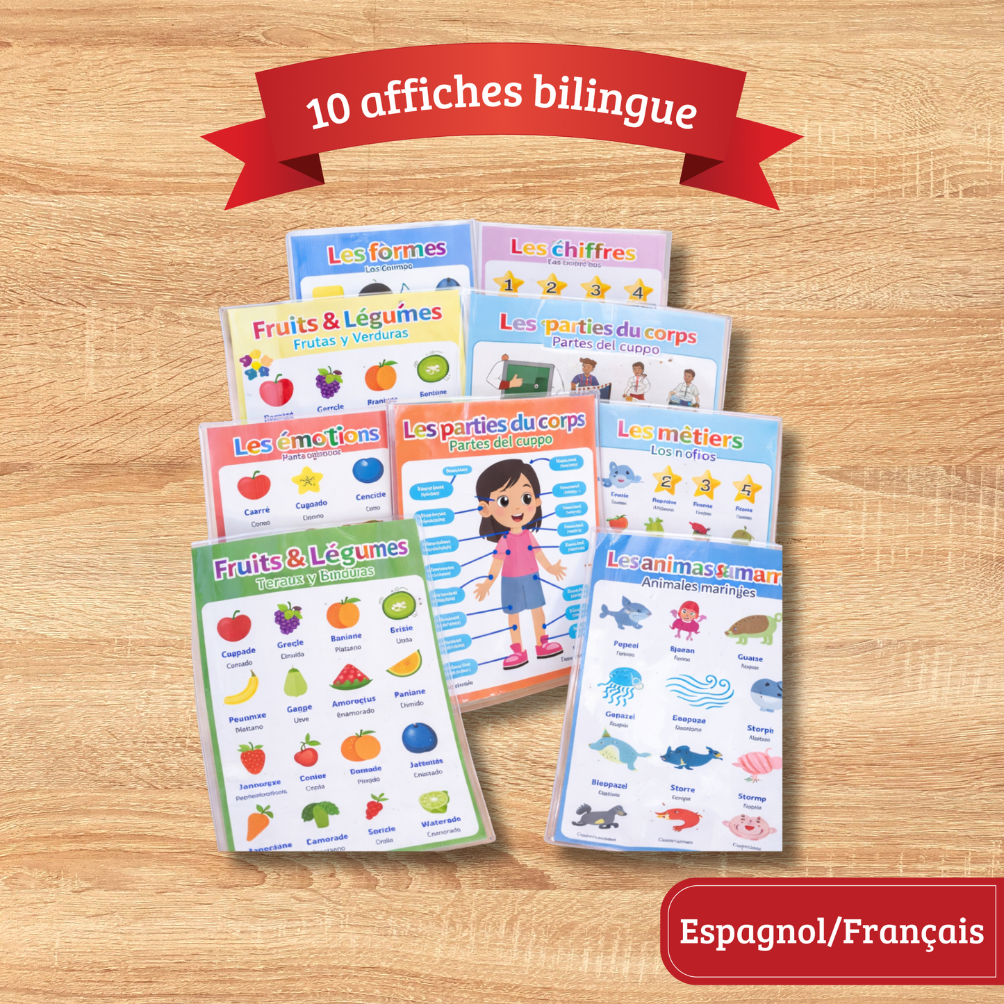 10 affiches bilingues Espagnol/Français