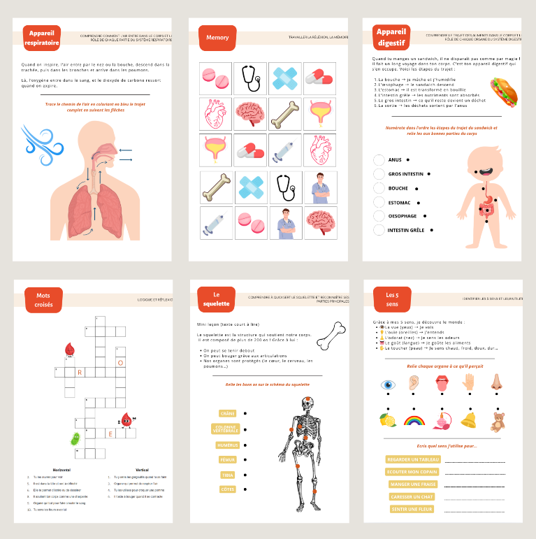 Mon carnet du corps humain
