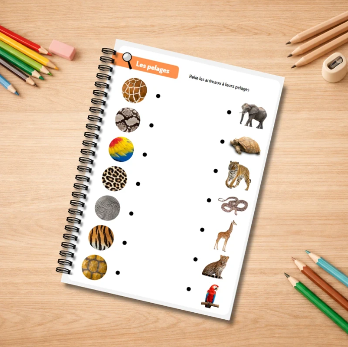 Spécial animaux réutilisable