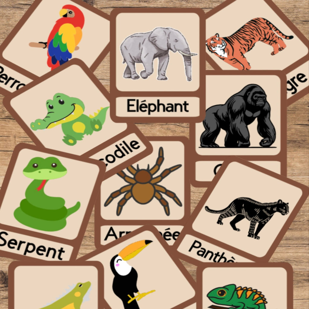 Animaux de la jungle
