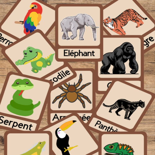 Animaux de la jungle