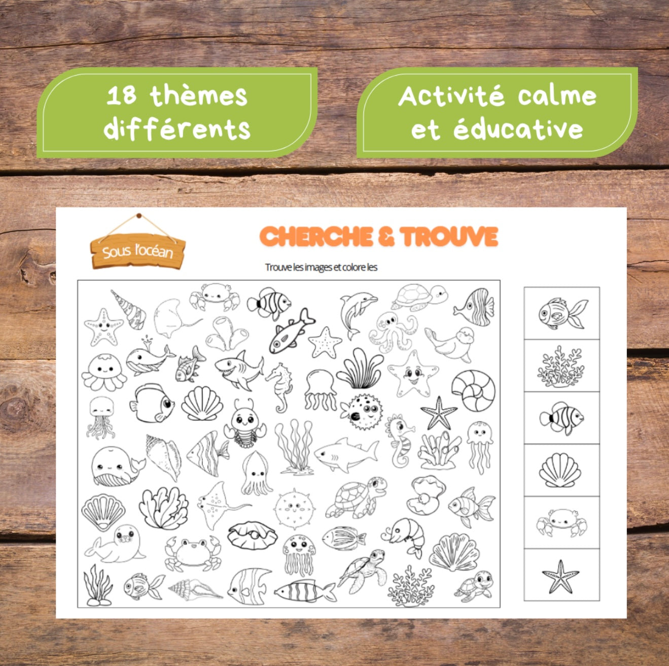 Cherche & Trouve
