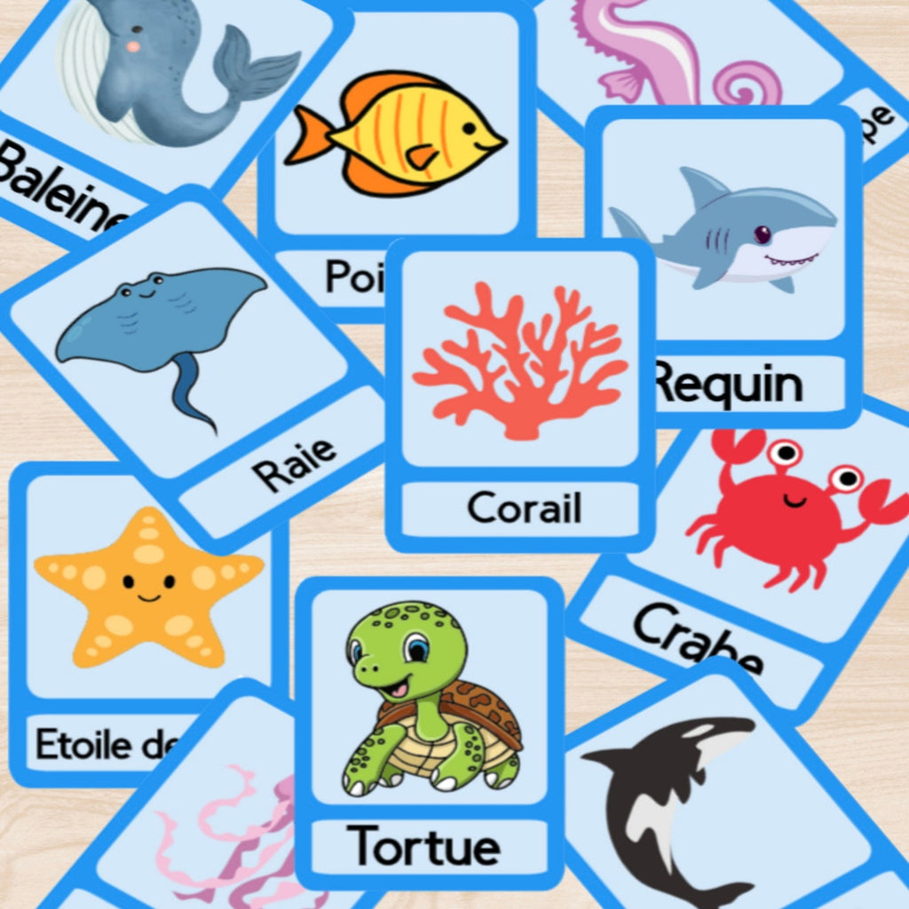 Animaux marins